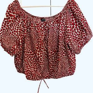 J. Crew Strawberry Puff Sleeve Blouse Size 3X Cottagecore Y2K